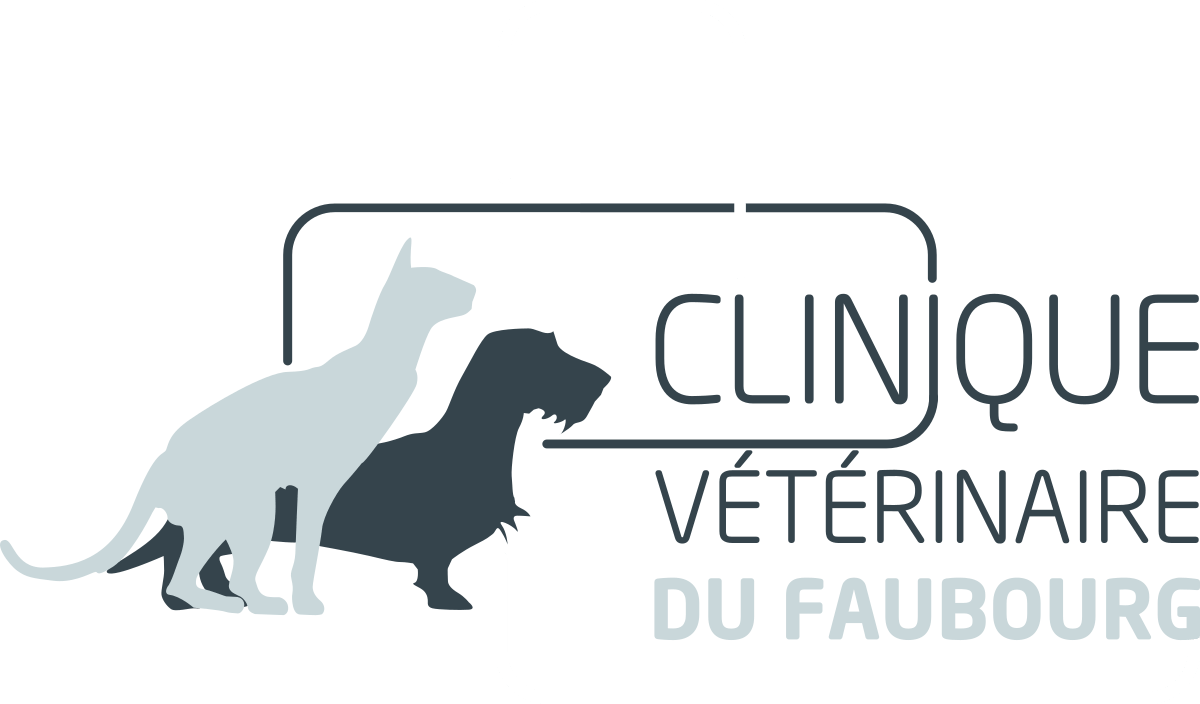 Clinique Vétérinaire du Faubourg